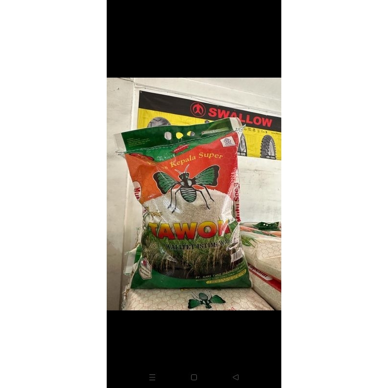 

Raja tawon hijau
