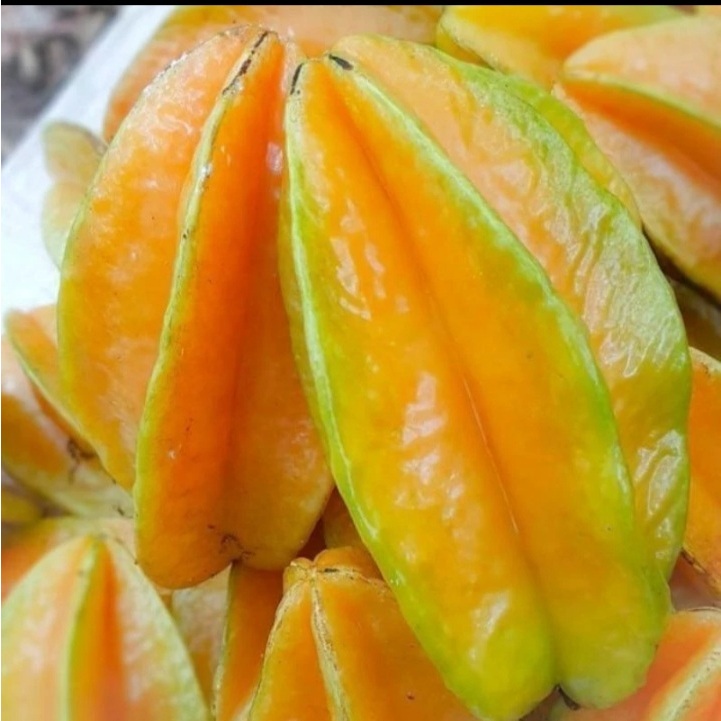 

BELIMBING KARANGSARI KHAS BLITAR_1KG MANIS DAN SEGAR