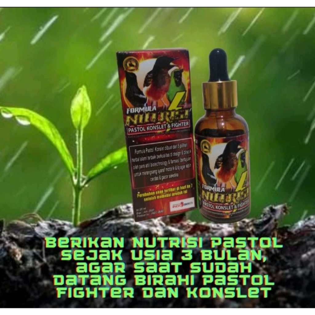 FORMULA NUTRISI PASTOL KONSLET VITAMIN KHUSUS ANAKAN BURUNG MURAI TROTOL DAN PASTOL