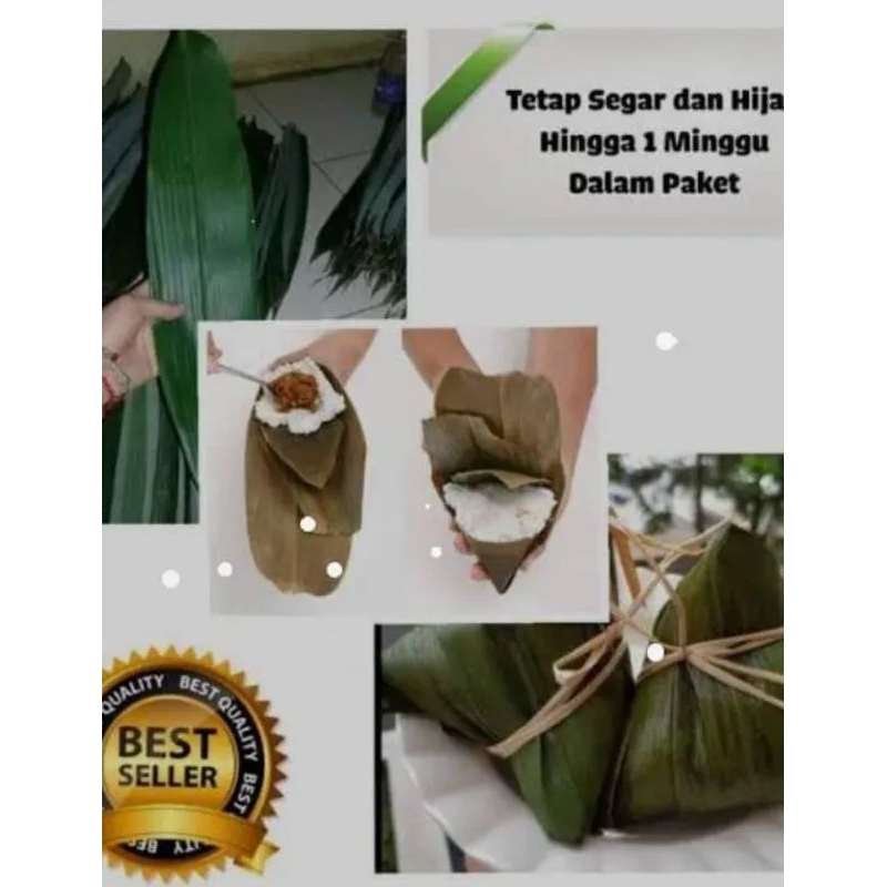 DAUN BAMBU PEMBUNGKUS BACANG MAKANAN/100 lmbar