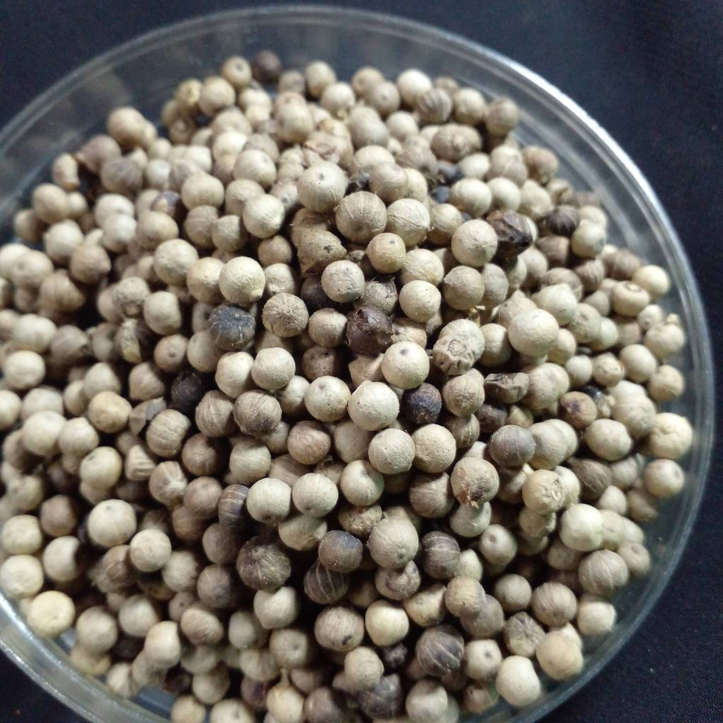 

lada putih / merica biji 50g