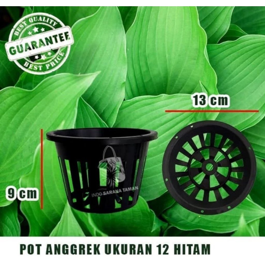Pot Anggrek 12 cm Pot Hidroponik 12 cm Netcup Grosr pot dan perlengkapan taman jual pot anggrek