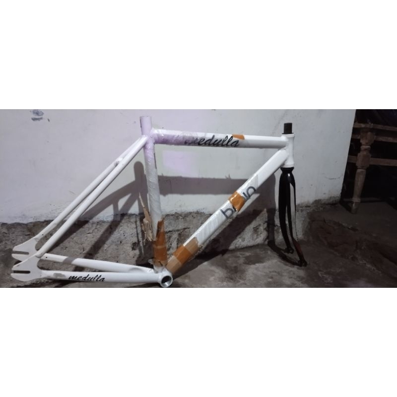 Frame Fixie brain