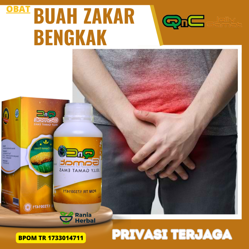 Obat Buah Zakar Bengkak, Obat Varikokel, Obat Nyeri Buah Zakar, Obat Benjolan Buah Zakar, Obat Turun