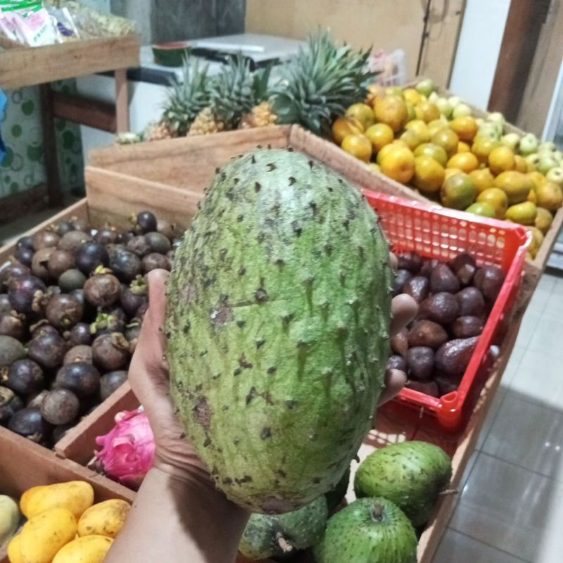 

Sirsak Fresh // Manis // Mateng // Durian Belanda 1Kg