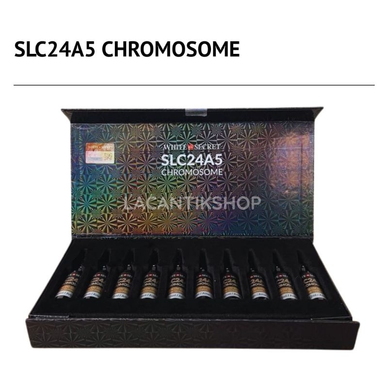 SLC24A5 CHROMOSOME WHITE SECRET