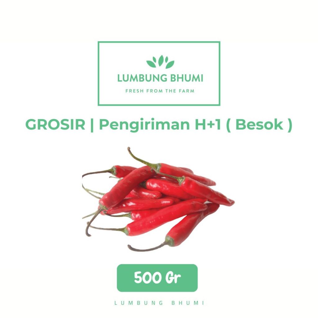 

Cabe Merah Besar Sayur 500 Gr - Lumbung Bhumi Grosir