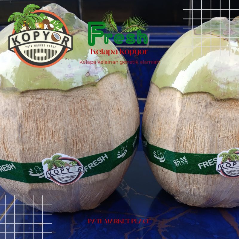 

Kelapa kopyor asli pati rasa manis daging tebal ukuran 53-54 asli pati