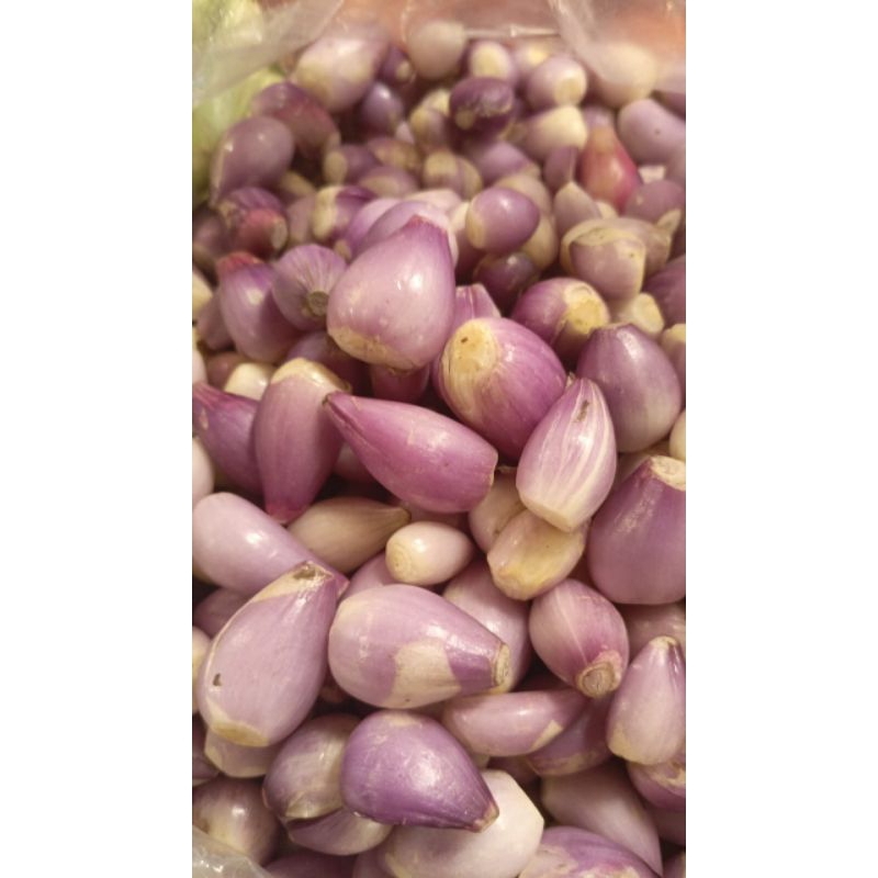 

Bawang merah kps fresh 250gram