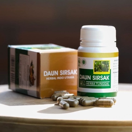 Daun Sirsak kapsul
