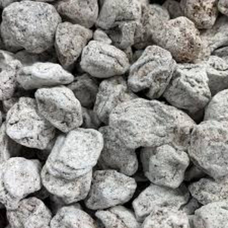 

MANISAN SEMBOI PUTIH NON BIJI 1KG