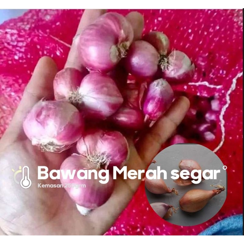 

Bawang Merah segar organik, kemasan 250grm bumbu masak