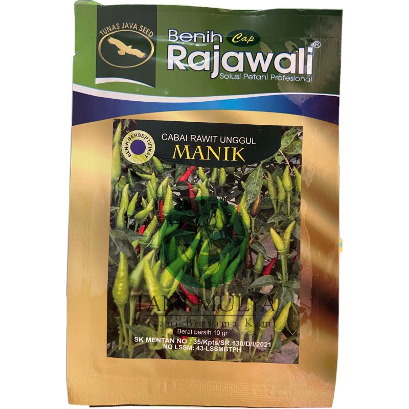 CABAI RAWIT UNGGUL MANIK