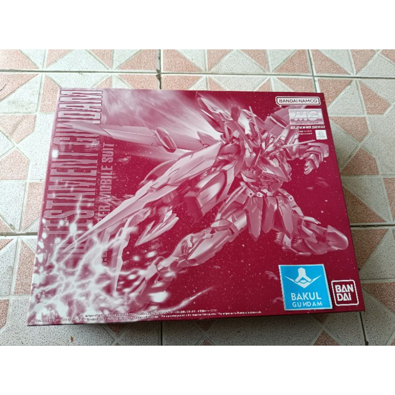 MG 1/100 RX-00 Testament Gundam