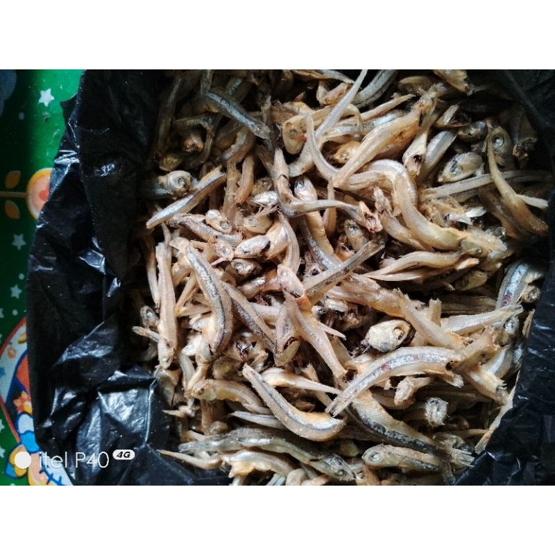 

ikan teri mandeh