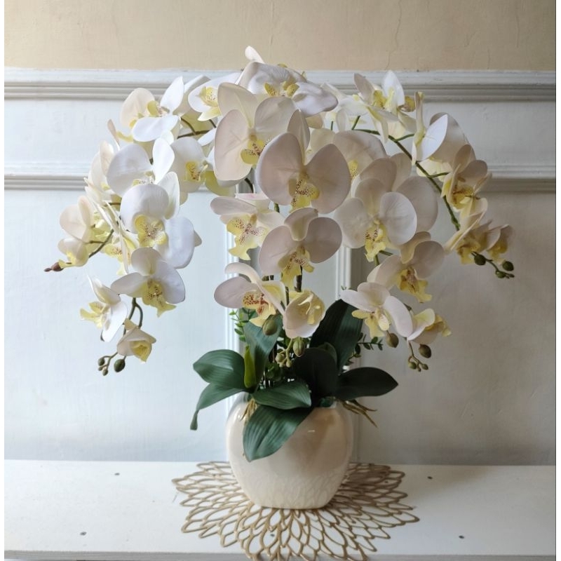 Anggrek latex jumbo 5 cabang, anggrek latex murah, anggrek latex putih