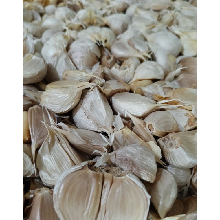 

uzhv 61 Bawang Putih Kating Bersih Panen Lama 1kg 23