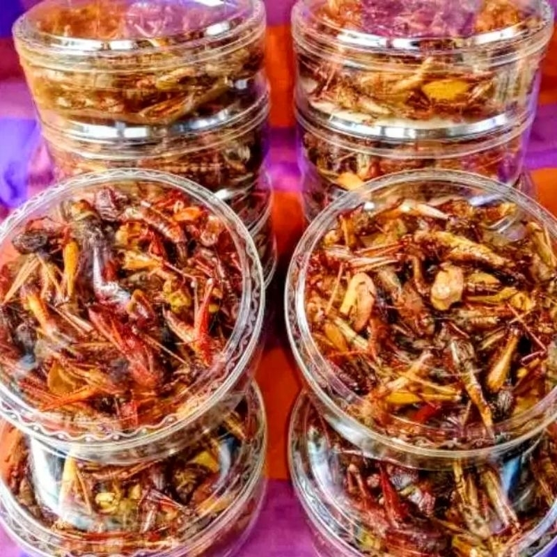 

Belalang Besar Murah Kemasan Toples Nastar / Belalang Kayu Murah / Belalang Goreng Termurah