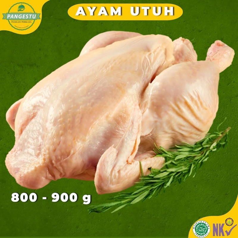 

Ayam Potong Broiler Karkas Utuh tanpa kepala dan Ceker