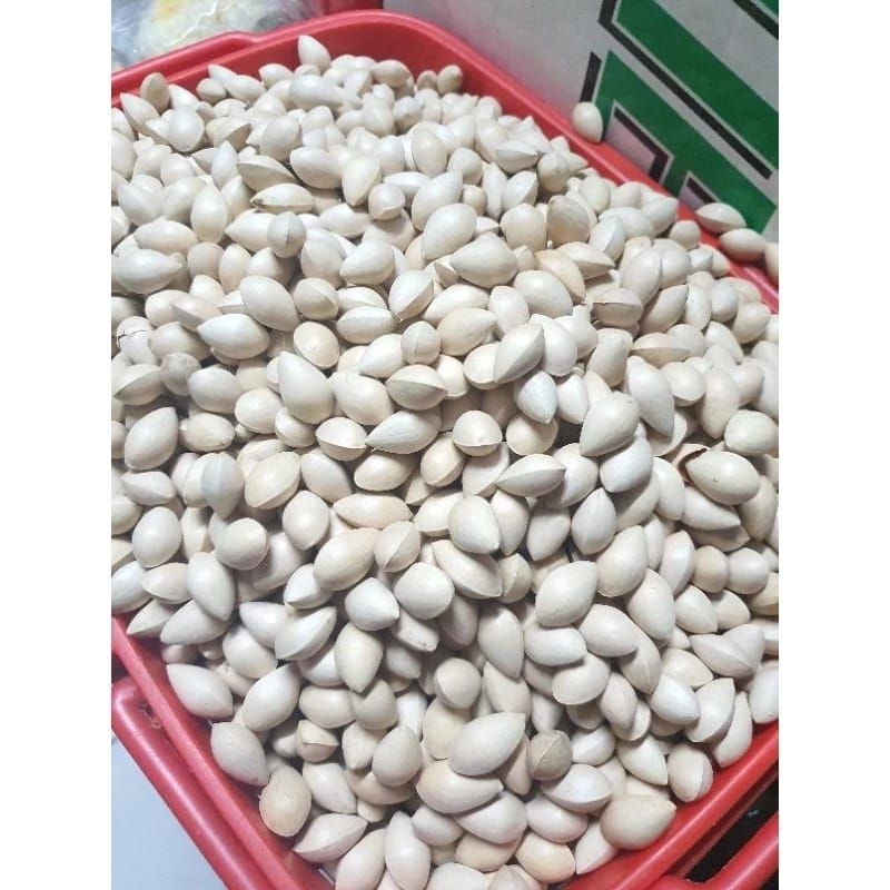 

Bai guo /ginko biloba /pek ko 500gr /ginkgo nuts /kacang pek koi /白果