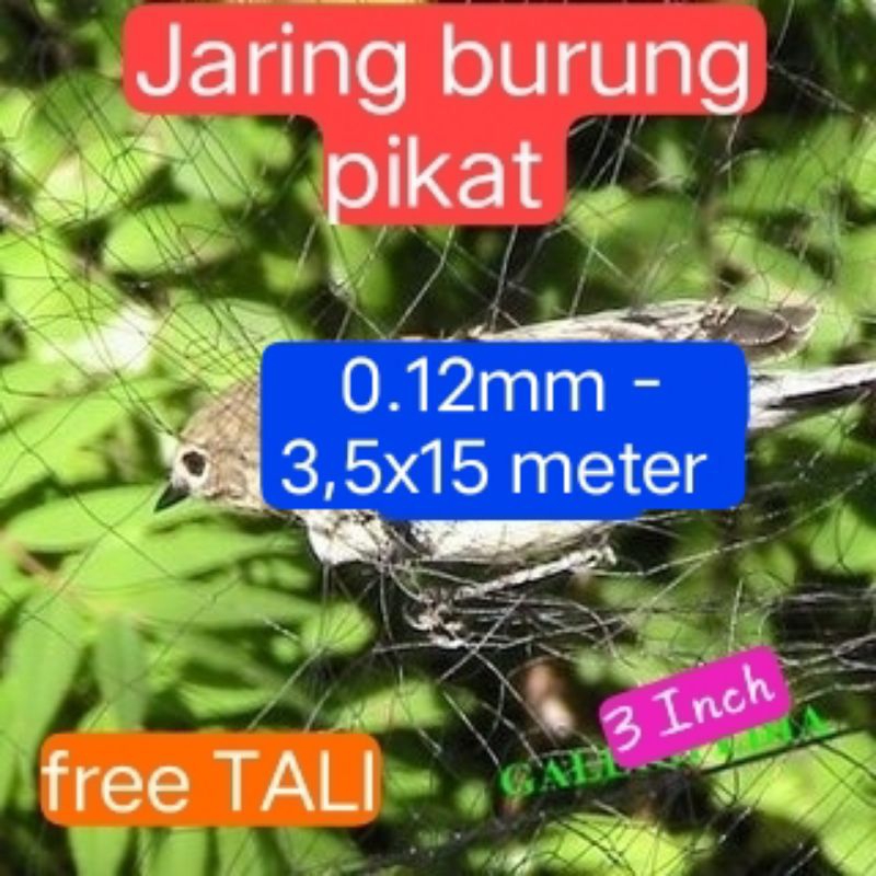 jaring burung pikat / jaring burung hitam