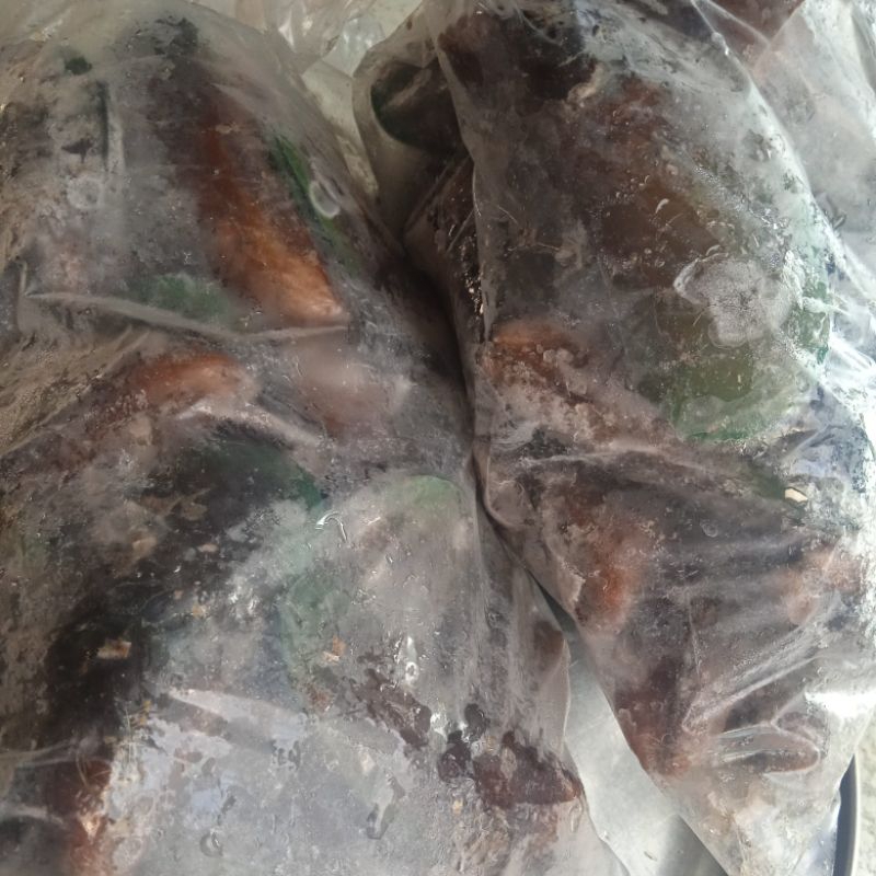 

Kerang hijau kemasan plastik. berat 1 kg