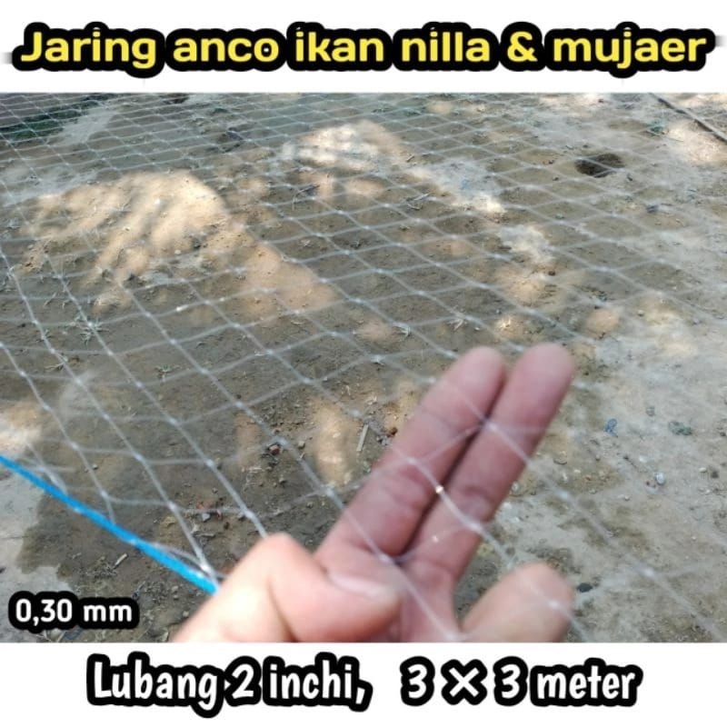 Branjang ikan 2 inchi ukuran 3×3 meter / jaring anco ikan nilla 2 inchi senar 0,30