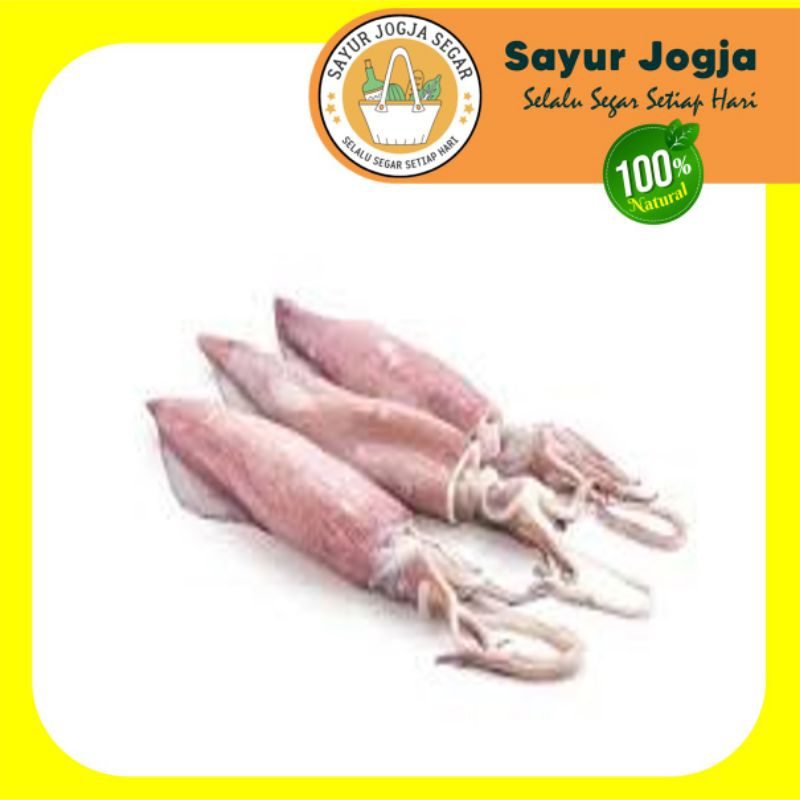 

CUMI-CUMI BESAR FRESH [250 Gram]