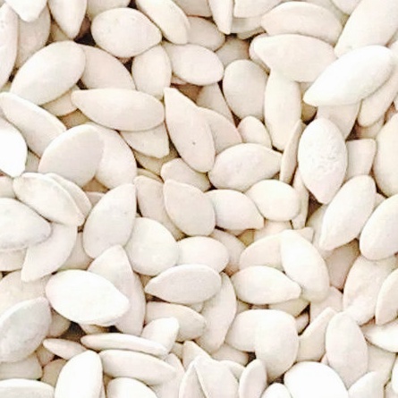 

Terkini KUACI BIJI LABU KUACI PUTIH 5 GRAM