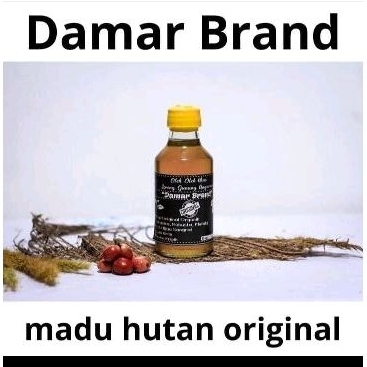 

Madu hutan asli Damar brand