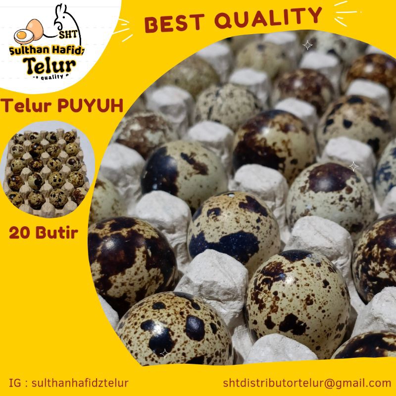 

TELUR PUYUH ISI 20BUTIRTelur Ayam NegeriTelur Ayam Negeri Omega Telur Ayam Negeri Krem Telur Puyuh Telur Ayam Kampung Omega Telur Bebek Oren Telur Asin Mentah Telur Asin Mateng