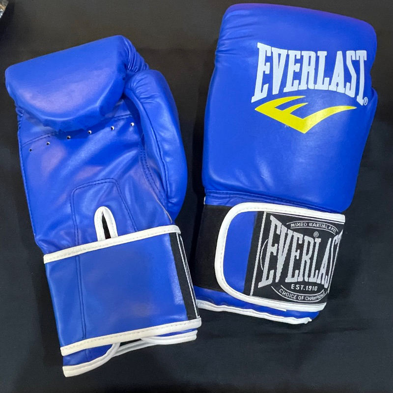 EVERLAST BOXING GLOVES