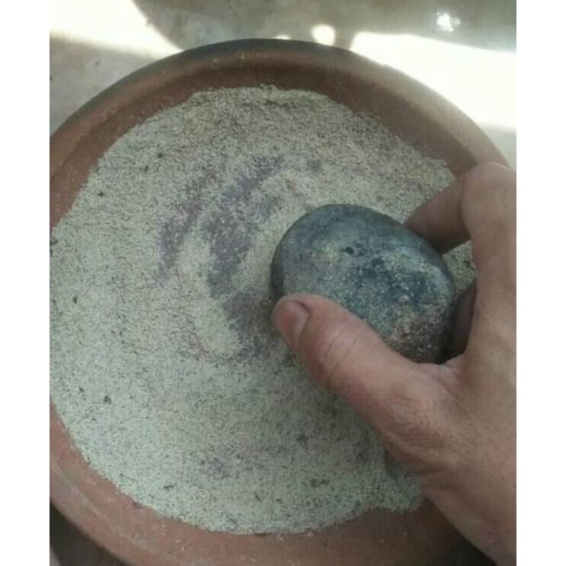 pakan jangkrik aduan(genggong)