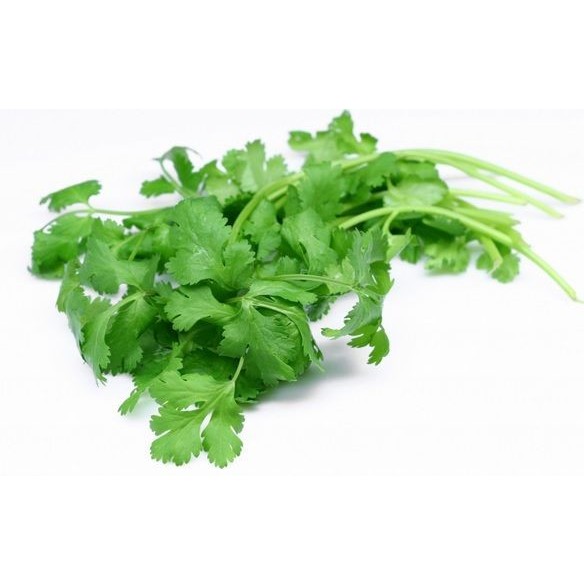 

KETUMBAR DAUN BSP FARM 100GR