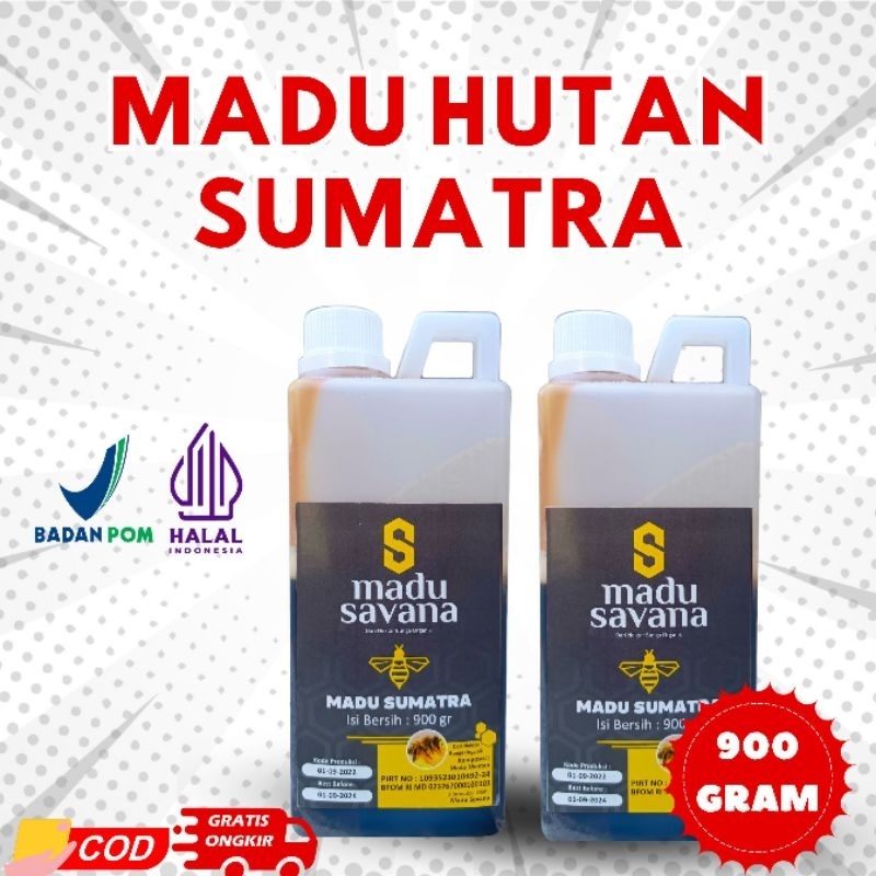 

madu hutan sumatra murni 100% tanpa campuran