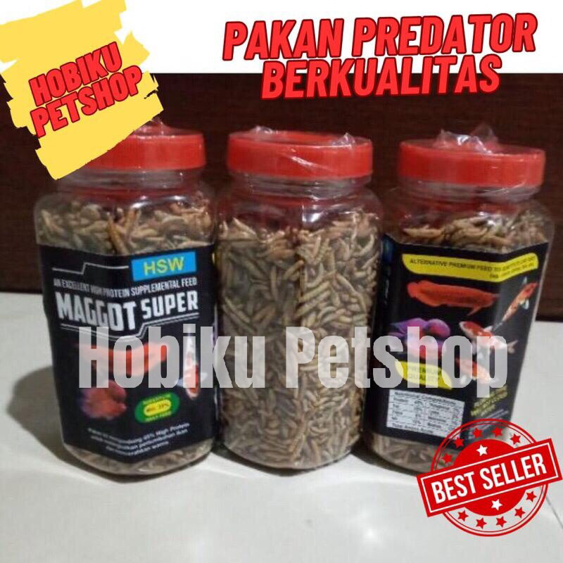 PAKAN IKAN CHANNA PREDATOR ULAT HONGKONG KERING MAGGOT SUPER HSW Berat 135 gr