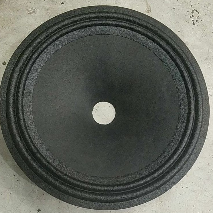 QGM Daun speaker 8 inch fullrange  daun 8 inch fullrange  daun 8 inch  B