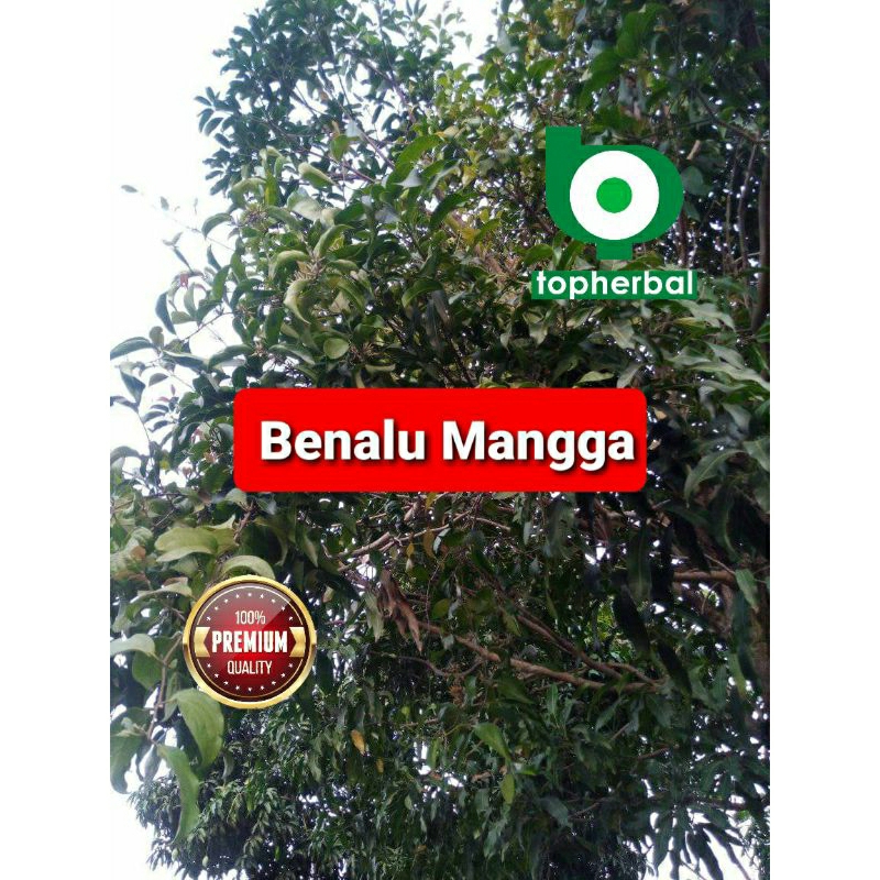 

Benalu Mangga Kering 1000 Gram