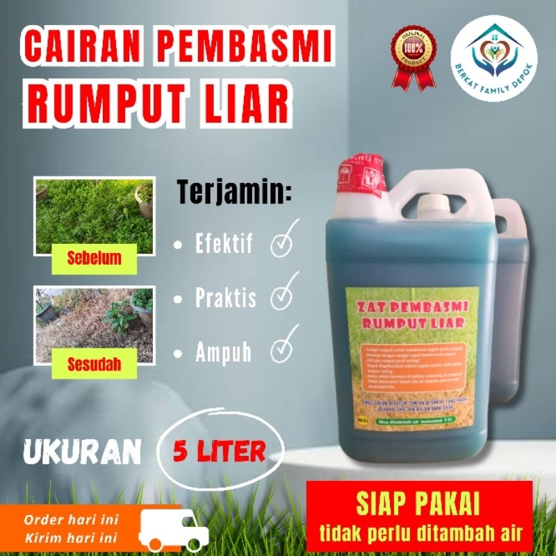 herbisida obat rumput liar (pembasmi rumput liar)cairan pembasmi rumput liar