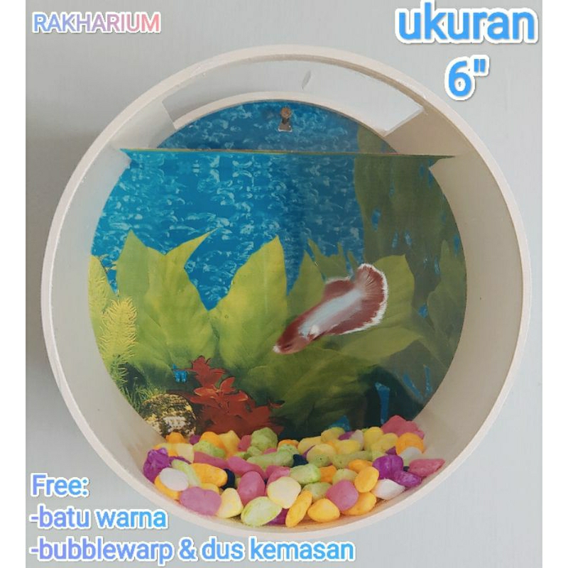 AQUARIUM DINDING 6"/AQUARIUM PVC AKRILIK/AQUARIUM MINI
