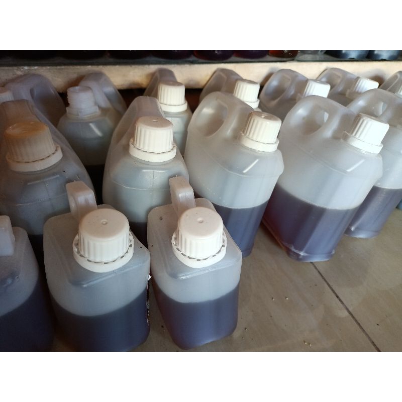 

MADU ASLI MADU HUTAN LIAR Madu asli hutan liar apis dorsata 1kg