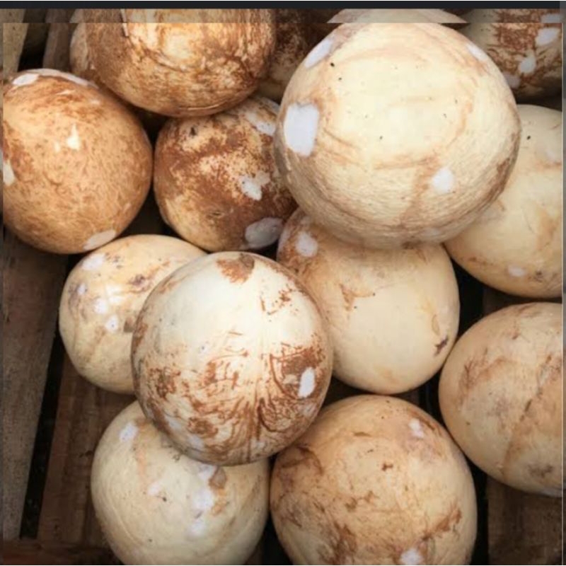 

kelapaparut,tua/muda(santan)