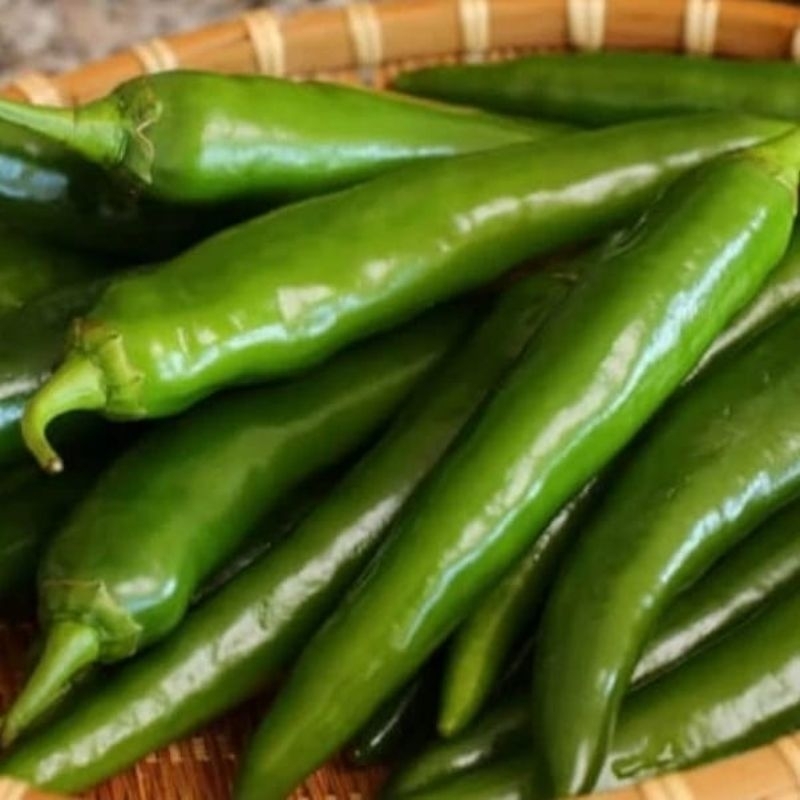 

CABAI HIJAU BESAR | SAYUR FRESH| SAYUR MURAH 1 kg