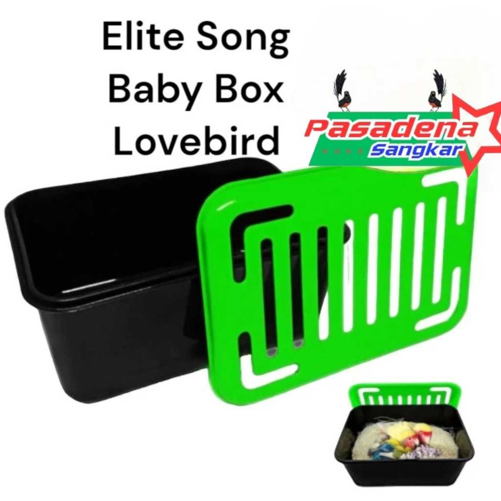 Baby Box LoveBird Elite Song Box Anakan Lovebird
