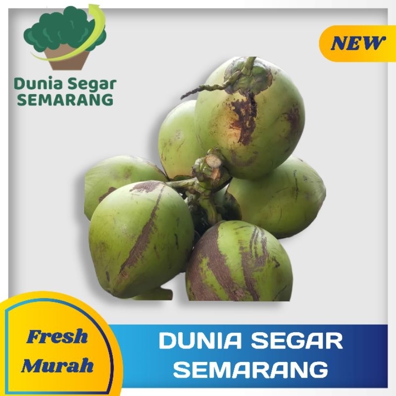 

Degan Kelapa Muda 1 Buah