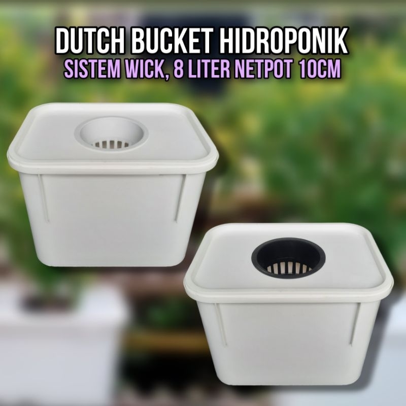 Dutch Bucket Hidroponik Pot Ember Hidroponik 8 Liter 1 Lubang Netpot 10cm