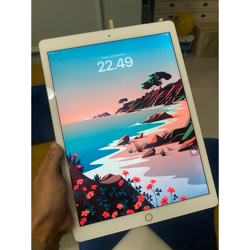 Ipad Pro 12,9 Wifi&Cellular