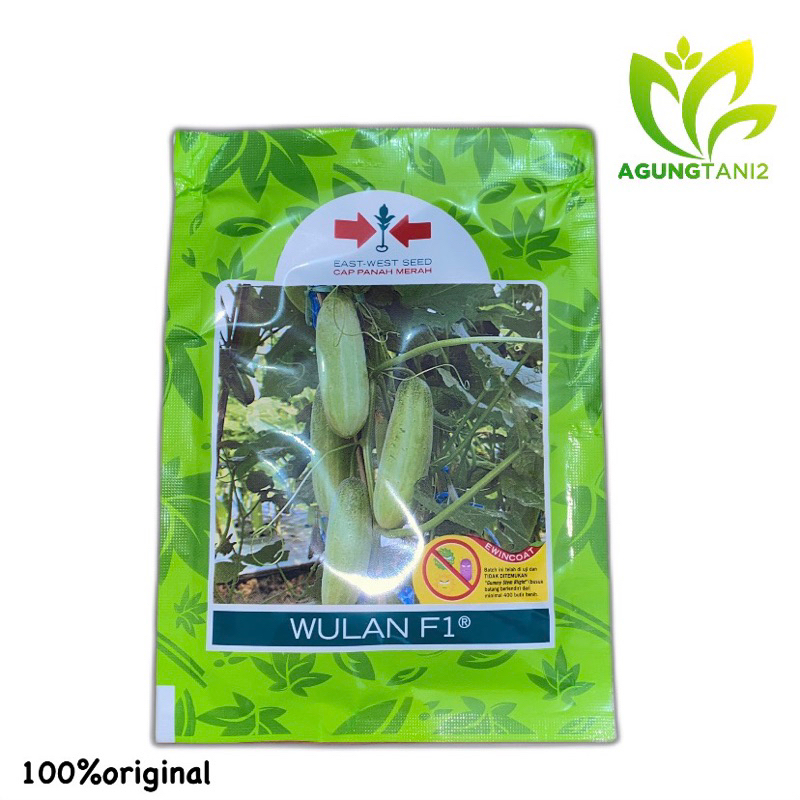 BENIH TIMUN WULAN F1 [20GRAM]