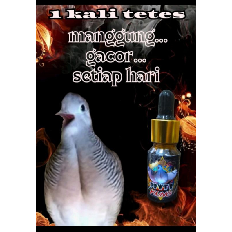 POWER KUNG SERUM PENGGACOR PERKUTUT DAN PUTER PELUNG