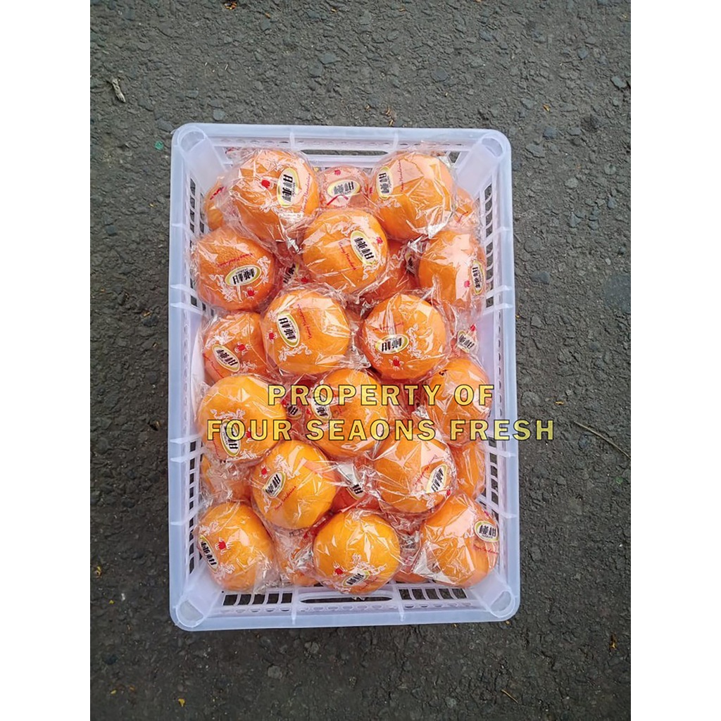 

TERLARISSS 1 BOX JERUK PONKAM SUPER RASA ISTIMEWA MANIS